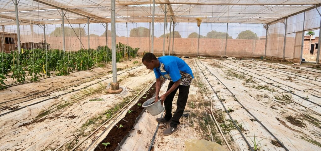 Aménagement Agricole et Irrigation
